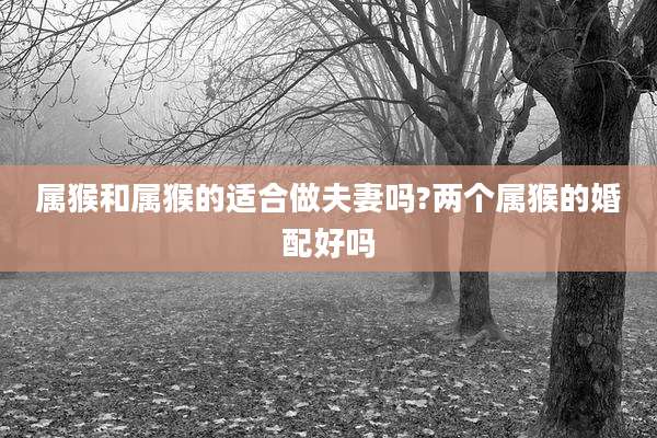 属猴和属猴的适合做夫妻吗?两个属猴的婚配好吗