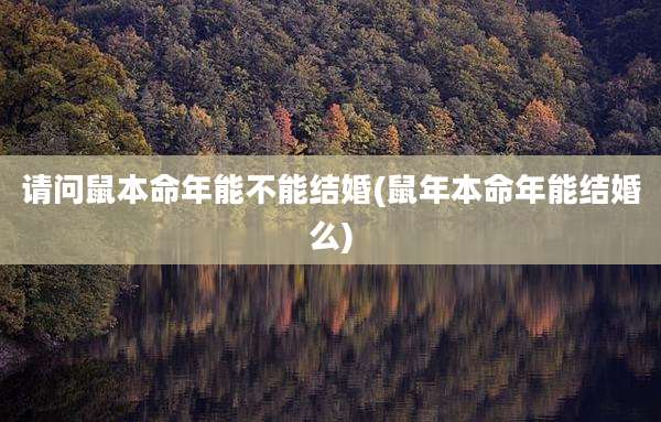请问鼠本命年能不能结婚(鼠年本命年能结婚么)