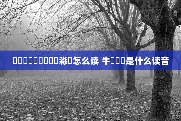馫龘飝鱻灥麤靐飍朤淼譶怎么读 牛牪犇犇是什么读音