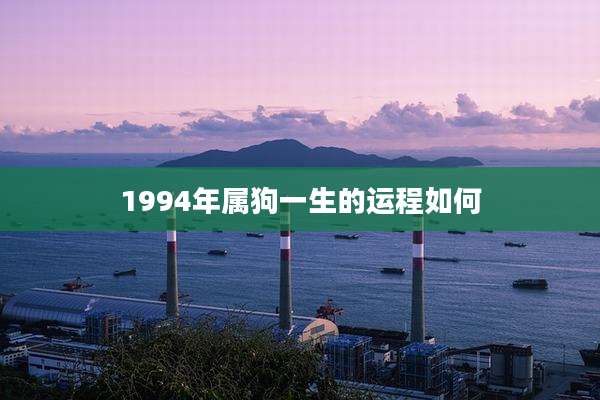 1994年属狗一生的运程如何