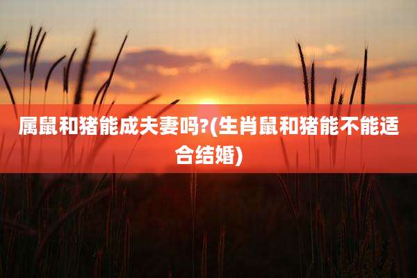 属鼠和猪能成夫妻吗?(生肖鼠和猪能不能适合结婚)