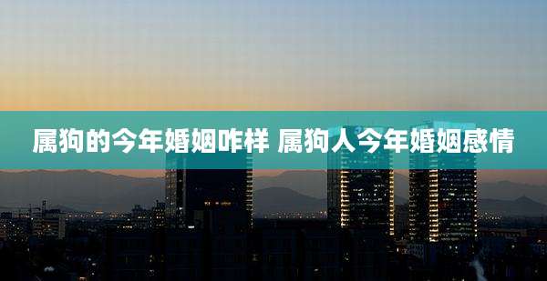 属狗的今年婚姻咋样 属狗人今年婚姻感情
