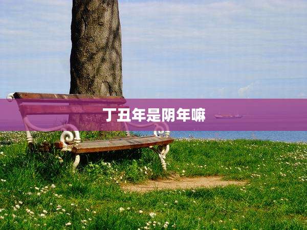 丁丑年是阴年嘛