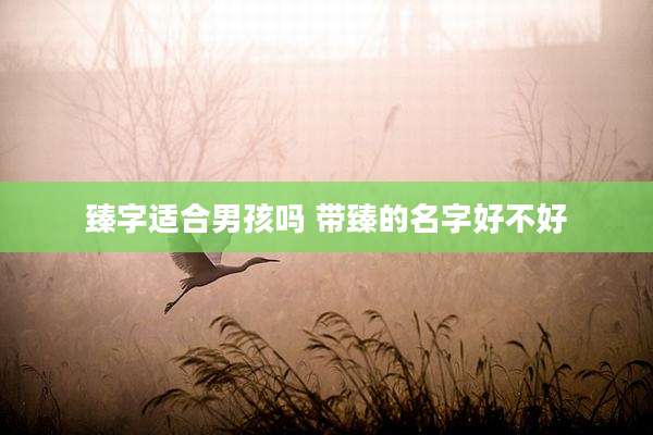 臻字适合男孩吗 带臻的名字好不好