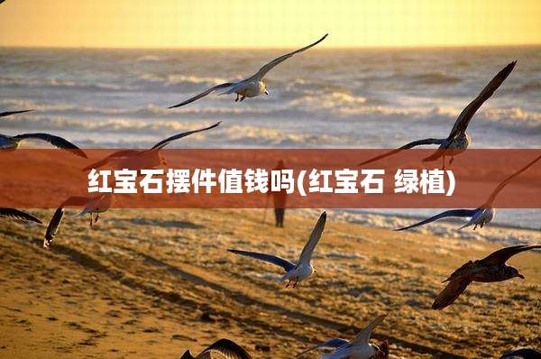 红宝石摆件值钱吗(红宝石 绿植)