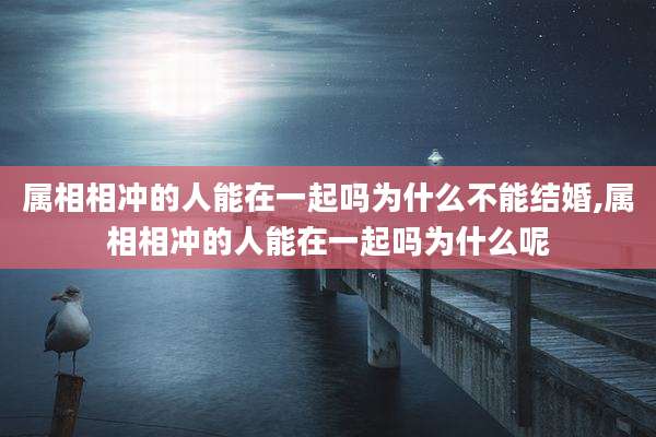 属相相冲的人能在一起吗为什么不能结婚,属相相冲的人能在一起吗为什么呢