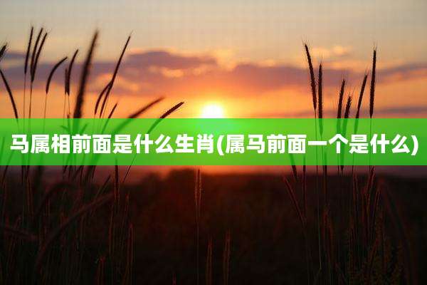 马属相前面是什么生肖(属马前面一个是什么)