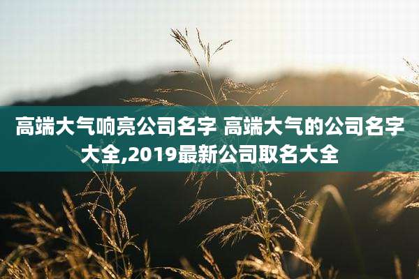 高端大气响亮公司名字 高端大气的公司名字大全,2019最新公司取名大全