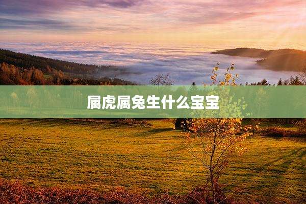 属虎属兔生什么宝宝