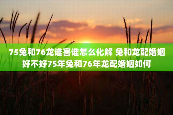 75兔和76龙谁害谁怎么化解 兔和龙配婚姻好不好75年兔和76年龙配婚姻如何
