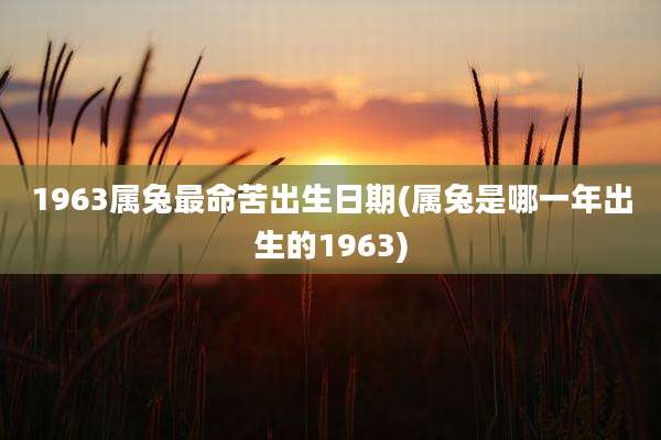 1963属兔最命苦出生日期(属兔是哪一年出生的1963)