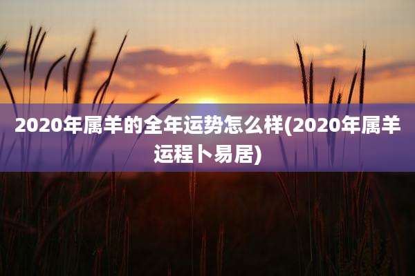 2020年属羊的全年运势怎么样(2020年属羊运程卜易居)