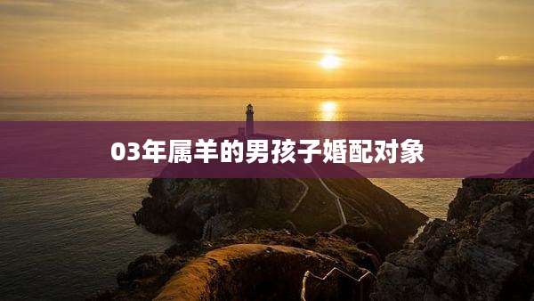 03年属羊的男孩子婚配对象