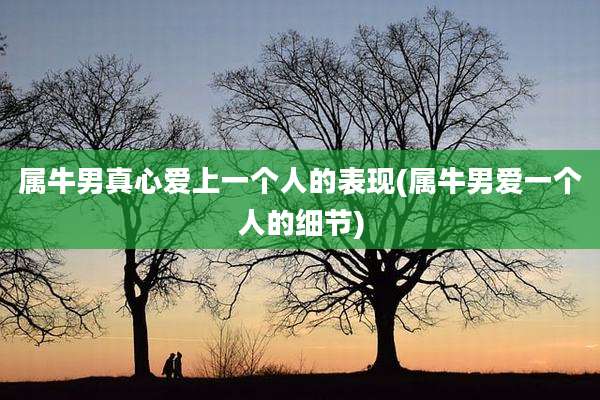 属牛男真心爱上一个人的表现(属牛男爱一个人的细节)