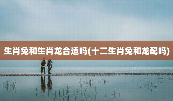 生肖兔和生肖龙合适吗(十二生肖兔和龙配吗)