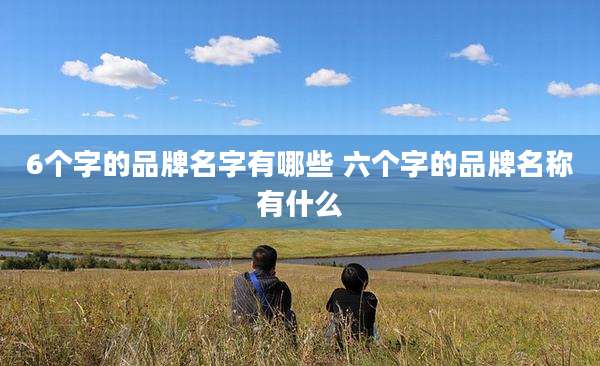 6个字的品牌名字有哪些 六个字的品牌名称有什么