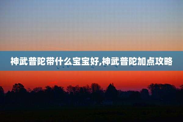 神武普陀带什么宝宝好,神武普陀加点攻略