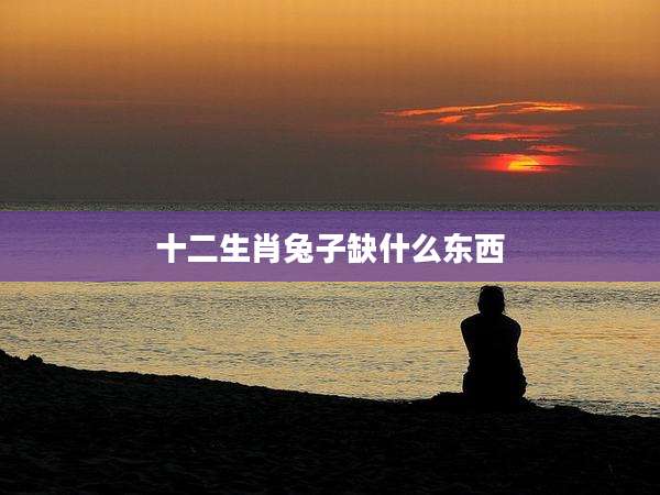 十二生肖兔子缺什么东西