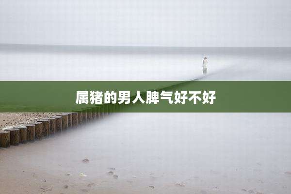 属猪的男人脾气好不好
