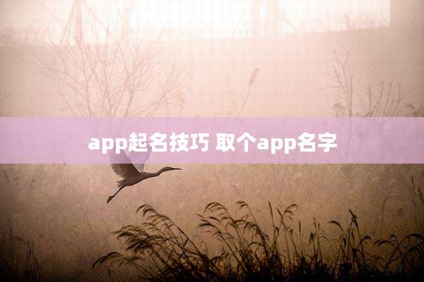 app起名技巧 取个app名字