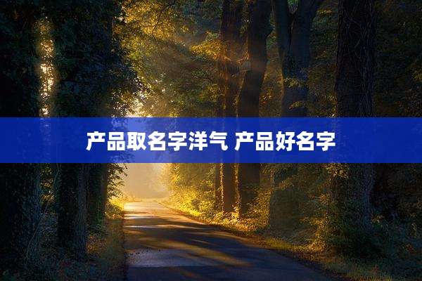 产品取名字洋气 产品好名字