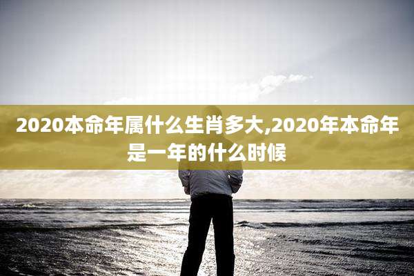 2020本命年属什么生肖多大,2020年本命年是一年的什么时候