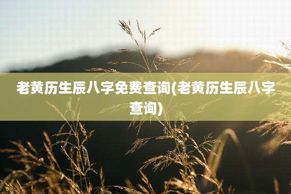老黄历生辰八字免费查询(老黄历生辰八字查询)