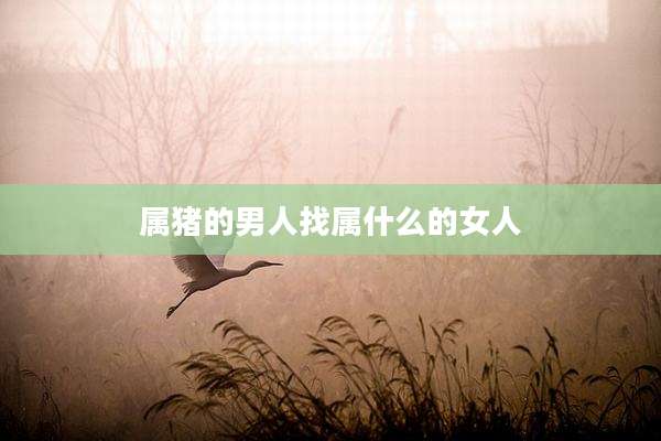 属猪的男人找属什么的女人