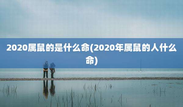 2020属鼠的是什么命(2020年属鼠的人什么命)