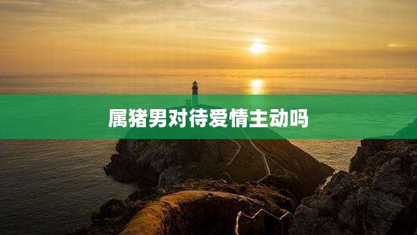 属猪男对待爱情主动吗