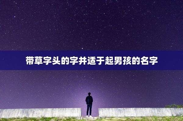 带草字头的字并适于起男孩的名字