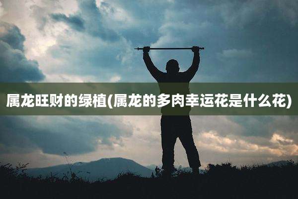 属龙旺财的绿植(属龙的多肉幸运花是什么花)