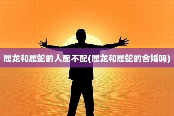 属龙和属蛇的人配不配(属龙和属蛇的合婚吗)