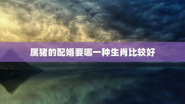 属猪的配婚要哪一种生肖比较好