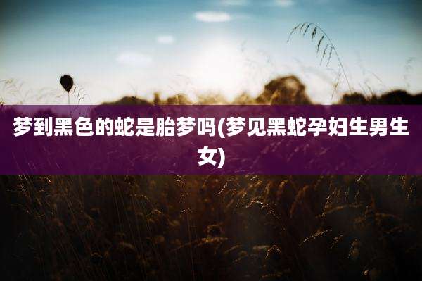 梦到黑色的蛇是胎梦吗(梦见黑蛇孕妇生男生女)