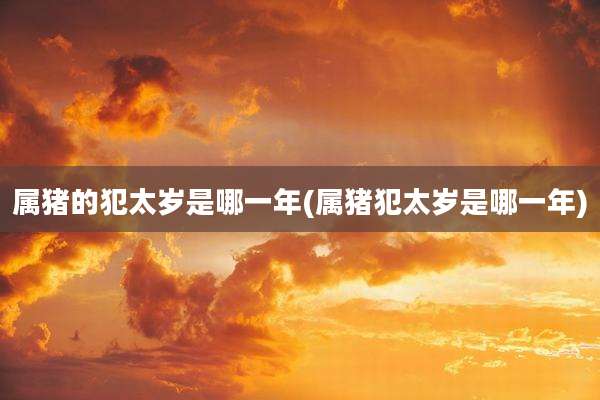 属猪的犯太岁是哪一年(属猪犯太岁是哪一年)