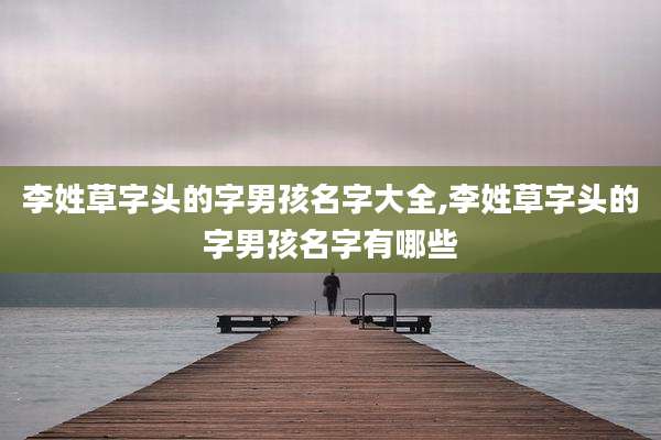 李姓草字头的字男孩名字大全,李姓草字头的字男孩名字有哪些