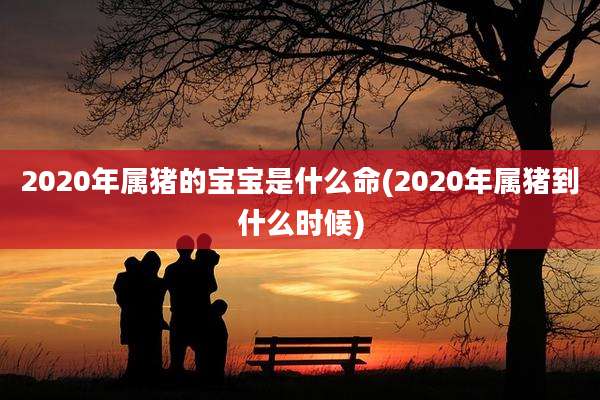 2020年属猪的宝宝是什么命(2020年属猪到什么时候)