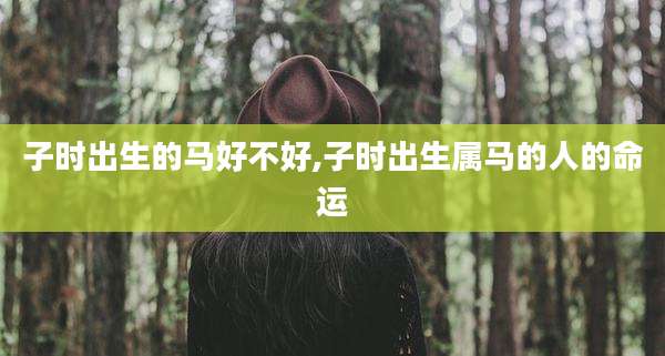 子时出生的马好不好,子时出生属马的人的命运