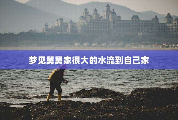 梦见舅舅家很大的水流到自己家