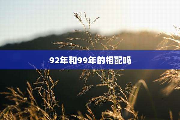 92年和99年的相配吗