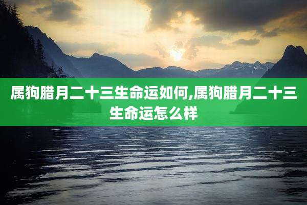 属狗腊月二十三生命运如何,属狗腊月二十三生命运怎么样