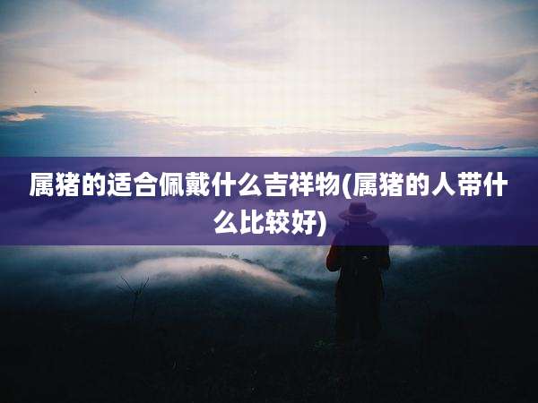 属猪的适合佩戴什么吉祥物(属猪的人带什么比较好)