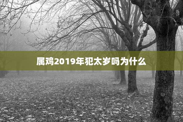 属鸡2019年犯太岁吗为什么