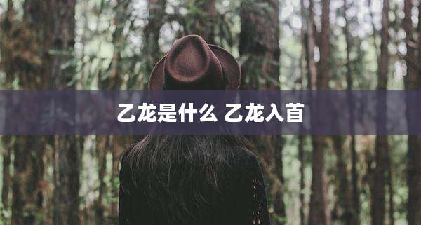 乙龙是什么 乙龙入首