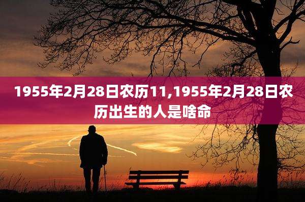1955年2月28日农历11,1955年2月28日农历出生的人是啥命