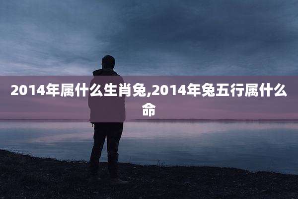 2014年属什么生肖兔,2014年兔五行属什么命