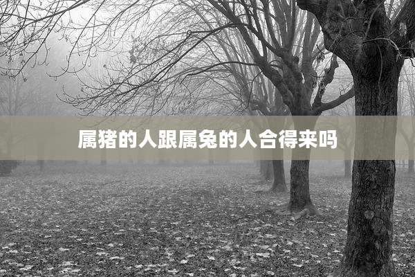 属猪的人跟属兔的人合得来吗