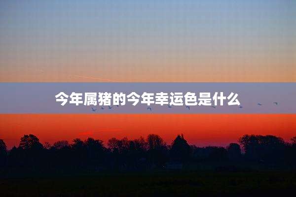 今年属猪的今年幸运色是什么
