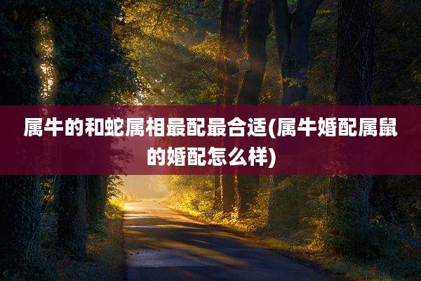 属牛的和蛇属相最配最合适(属牛婚配属鼠的婚配怎么样)